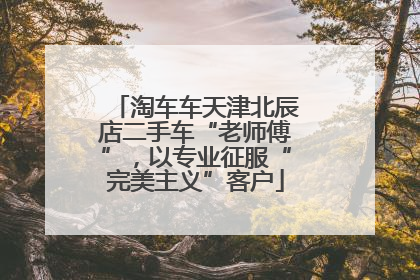 淘车车天津北辰店二手车“老师傅”，以专业征服“完美主义”客户
