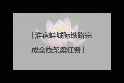 淮宿蚌城际铁路完成全线架梁任务
