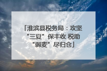 淮滨县税务局：攻坚“三夏”保丰收 税助“弱麦”尽归仓