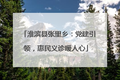 淮滨县张里乡：党建引领，惠民义诊暖人心