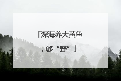 深海养大黄鱼，够“野”