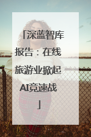 深蓝智库报告：在线旅游业掀起AI竞速战