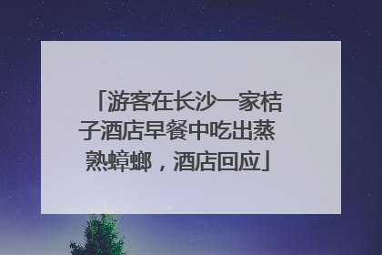 游客在长沙一家桔子酒店早餐中吃出蒸熟蟑螂，酒店回应