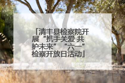 清丰县检察院开展“携手关爱 共护未来”“六一”检察开放日活动