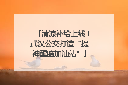 清凉补给上线！武汉公交打造“提神醒脑加油站”