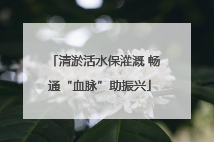 清淤活水保灌溉 畅通“血脉”助振兴
