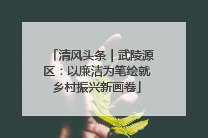 清风头条｜武陵源区：以廉洁为笔绘就乡村振兴新画卷