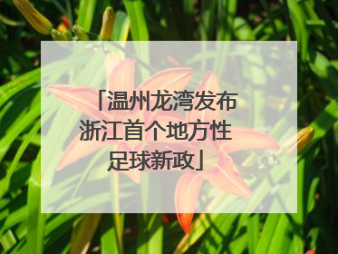 温州龙湾发布浙江首个地方性足球新政