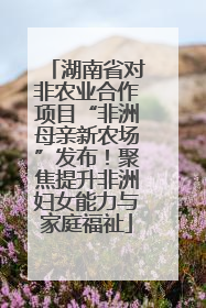 湖南省对非农业合作项目“非洲母亲新农场”发布！聚焦提升非洲妇女能力与家庭福祉