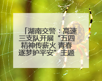 湖南交警：高速三支队开展“五四精神传薪火 青春逐梦护平安”主题实践活动