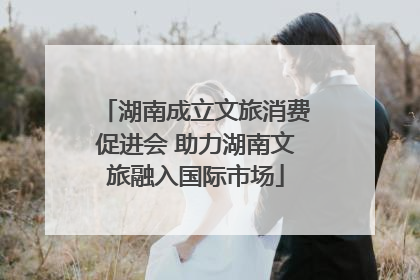 湖南成立文旅消费促进会 助力湖南文旅融入国际市场
