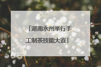 湖南永州举行手工制茶技能大赛