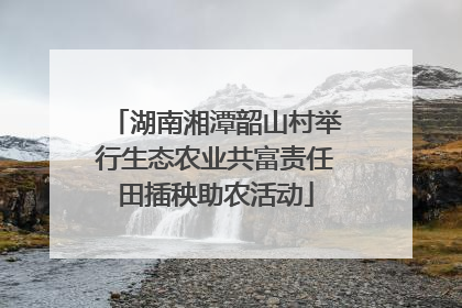 湖南湘潭韶山村举行生态农业共富责任田插秧助农活动