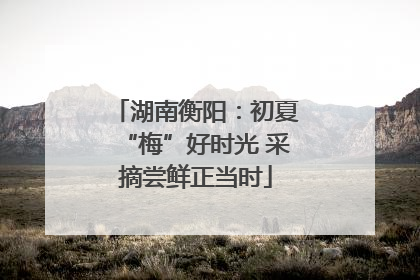 湖南衡阳：初夏“梅”好时光 采摘尝鲜正当时
