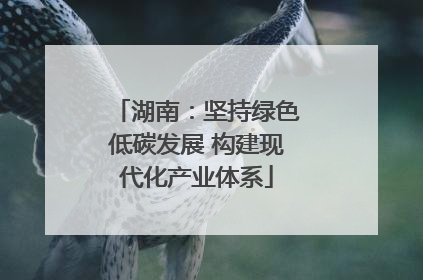 湖南：坚持绿色低碳发展 构建现代化产业体系