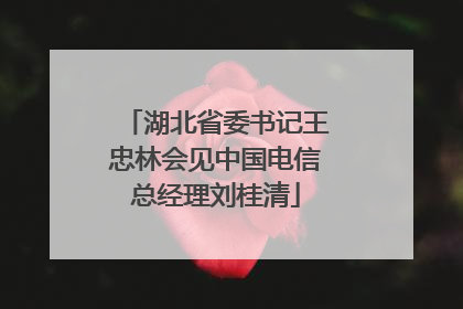 湖北省委书记王忠林会见中国电信总经理刘桂清
