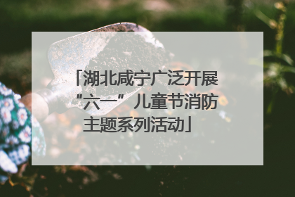 湖北咸宁广泛开展“六一”儿童节消防主题系列活动