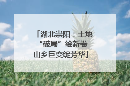 湖北崇阳：土地“破局”绘新卷 山乡巨变绽芳华