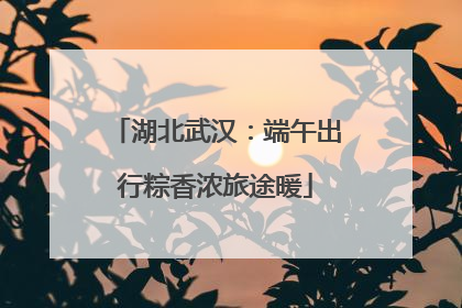 湖北武汉：端午出行粽香浓旅途暖