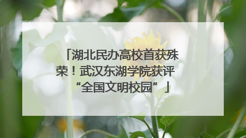 湖北民办高校首获殊荣！武汉东湖学院获评“全国文明校园”