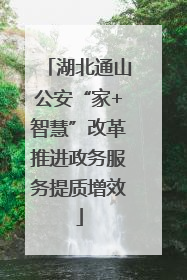 湖北通山公安“家+智慧”改革推进政务服务提质增效