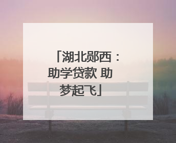 湖北郧西：助学贷款 助梦起飞