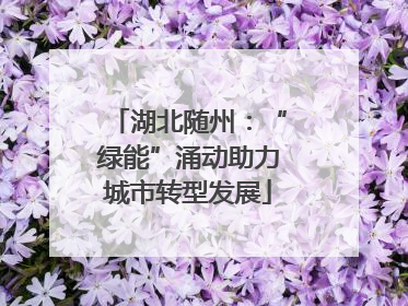 湖北随州：“绿能”涌动助力城市转型发展