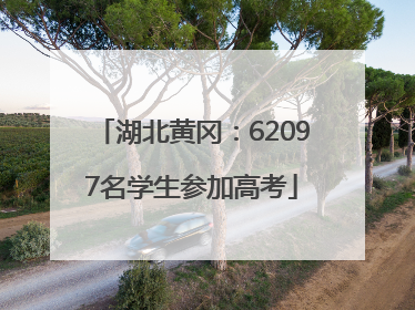 湖北黄冈：62097名学生参加高考