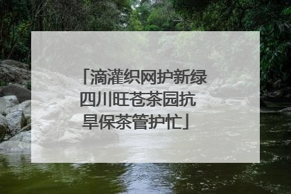 滴灌织网护新绿 四川旺苍茶园抗旱保茶管护忙