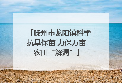 滕州市龙阳镇科学抗旱保苗 力保万亩农田“解渴”
