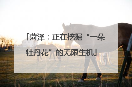 菏泽：正在挖掘“一朵牡丹花”的无限生机