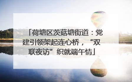 荷塘区茨菇塘街道：党建引领架起连心桥，“双联夜访”织就端午情