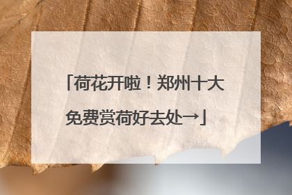 荷花开啦！郑州十大免费赏荷好去处→
