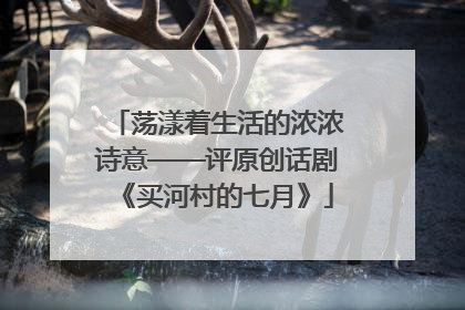 荡漾着生活的浓浓诗意——评原创话剧《买河村的七月》