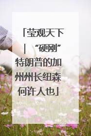 莹观天下｜“硬刚”特朗普的加州州长纽森何许人也
