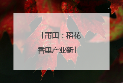 莆田：稻花香里产业新