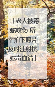 老人被毒蛇咬伤 所幸拍下照片及时注射抗蛇毒血清