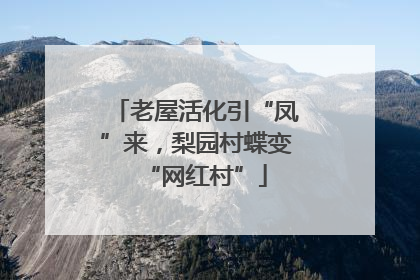 老屋活化引“凤”来，梨园村蝶变“网红村”