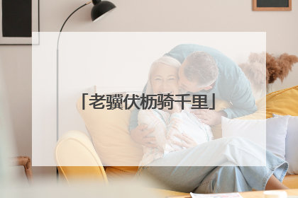 老骥伏枥骑千里
