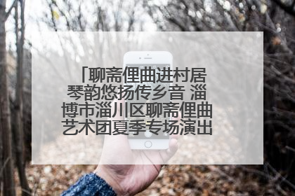 聊斋俚曲进村居 琴韵悠扬传乡音 淄博市淄川区聊斋俚曲艺术团夏季专场演出在杏园子村举行