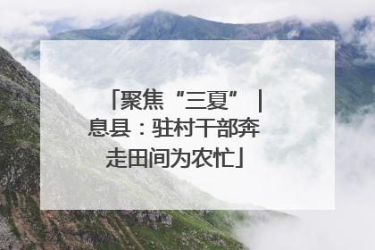 聚焦“三夏”｜息县：驻村干部奔走田间为农忙