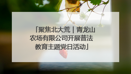 聚焦北大荒｜青龙山农场有限公司开展普法教育主题党日活动