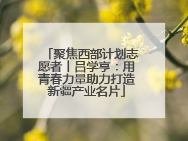 聚焦西部计划志愿者丨吕学亨：用青春力量助力打造新疆产业名片