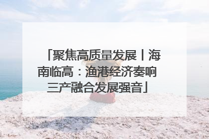 聚焦高质量发展丨海南临高：渔港经济奏响三产融合发展强音