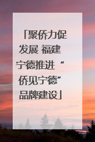 聚侨力促发展 福建宁德推进“侨见宁德”品牌建设