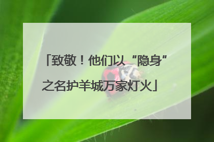 致敬！他们以“隐身”之名护羊城万家灯火