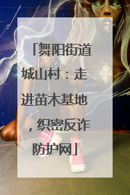舞阳街道城山村：走进苗木基地，织密反诈防护网