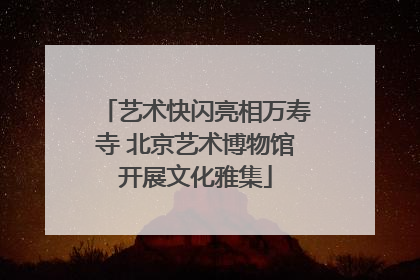 艺术快闪亮相万寿寺 北京艺术博物馆开展文化雅集