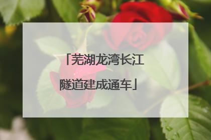 芜湖龙湾长江隧道建成通车