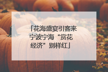 花海盛宴引客来 宁波宁海“赏花经济”别样红